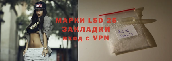 шишки Абаза