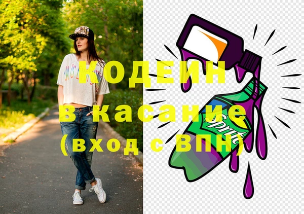 шишки Абаза