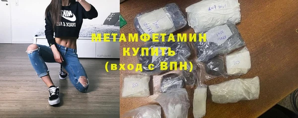 шишки Абаза