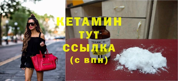 шишки Абаза