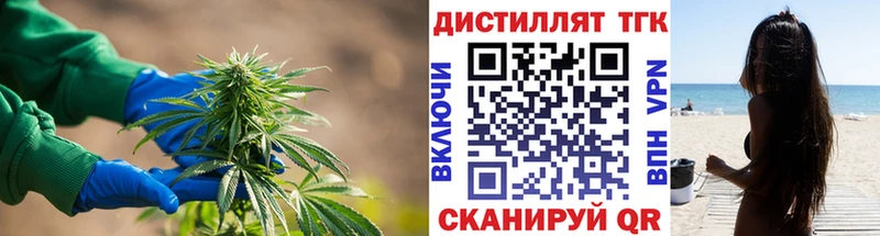 ТГК концентрат  Великий Новгород 