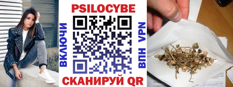 где можно купить   Великий Новгород  Псилоцибиновые грибы мухоморы 
